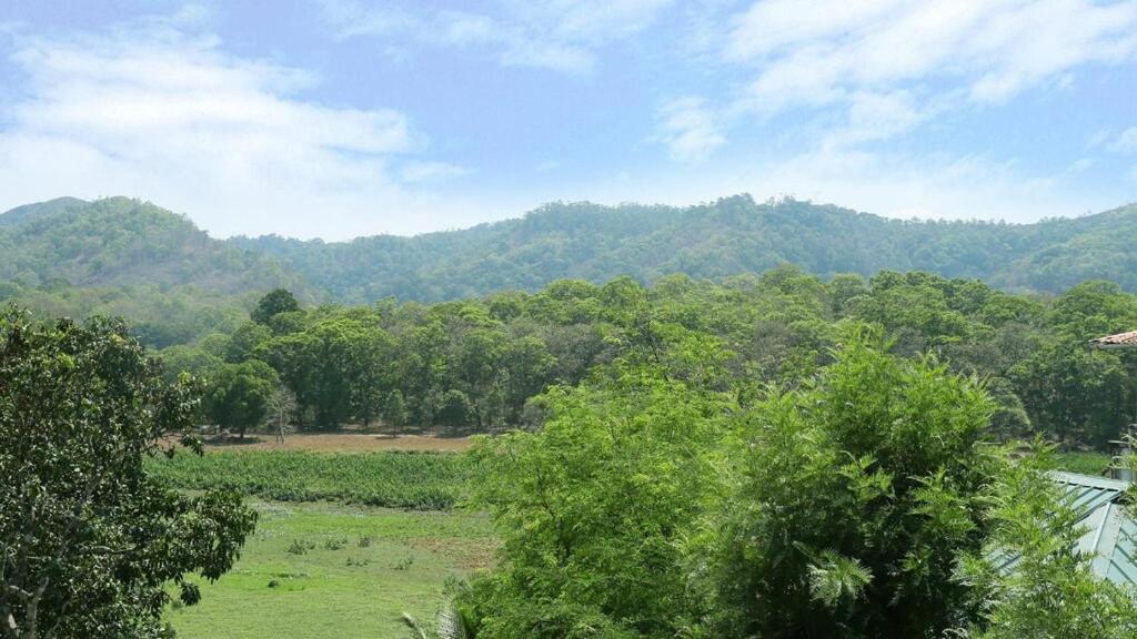 Hill Green Home Stay Thekkady Eksteriør billede