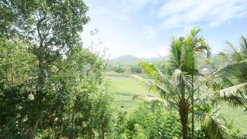 Hill Green Home Stay Thekkady Eksteriør billede